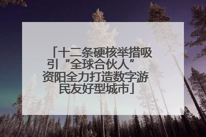 十二条硬核举措吸引“全球合伙人” 资阳全力打造数字游民友好型城市