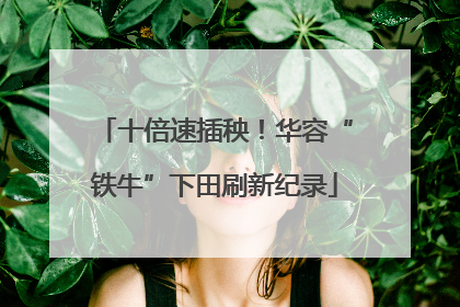 十倍速插秧！华容“铁牛”下田刷新纪录