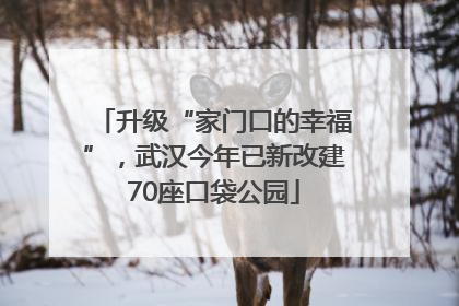 升级“家门口的幸福”，武汉今年已新改建70座口袋公园
