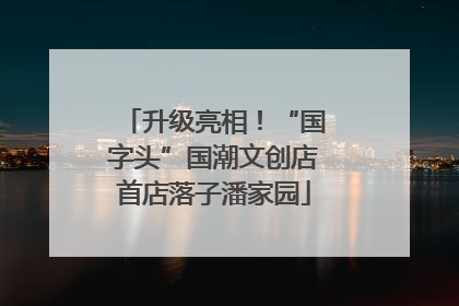 升级亮相！“国字头”国潮文创店首店落子潘家园