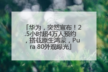 华为，突然宣布！2.5小时超4万人预约，搭载原生鸿蒙，Pura 80外观曝光