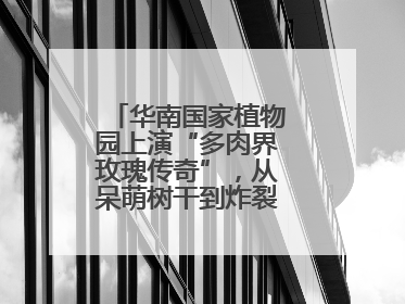 华南国家植物园上演“多肉界玫瑰传奇”，从呆萌树干到炸裂种子全是戏！