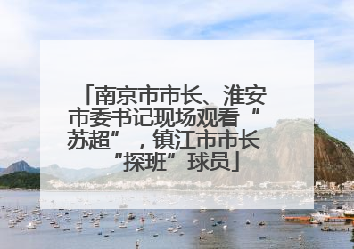 南京市市长、淮安市委书记现场观看“苏超”，镇江市市长“探班”球员