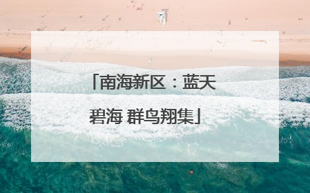 南海新区：蓝天碧海 群鸟翔集