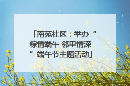 南苑社区：举办“粽情端午 邻里情深”端午节主题活动