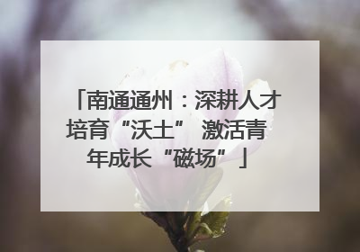 南通通州：深耕人才培育“沃土” 激活青年成长“磁场”