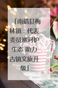 南靖县梅林镇：代表委员巡河护生态 助力古镇文旅升级