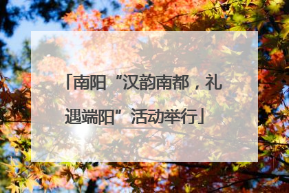 南阳“汉韵南都，礼遇端阳”活动举行