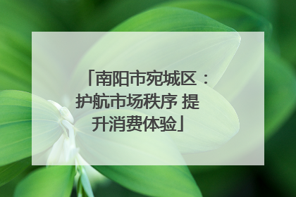 南阳市宛城区：护航市场秩序 提升消费体验