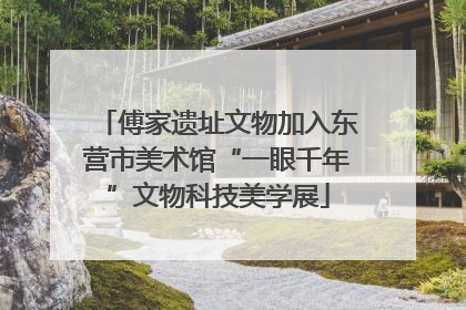 傅家遗址文物加入东营市美术馆“一眼千年”文物科技美学展