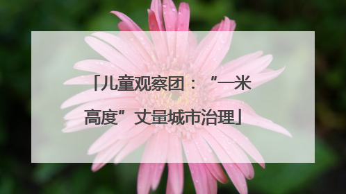 儿童观察团：“一米高度”丈量城市治理