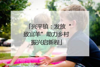 兴平镇：发放“致富羊”助力乡村振兴启新程