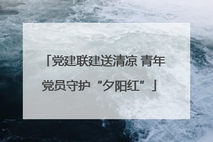 党建联建送清凉 青年党员守护“夕阳红”