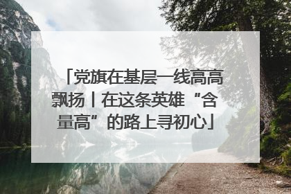 党旗在基层一线高高飘扬丨在这条英雄“含量高”的路上寻初心