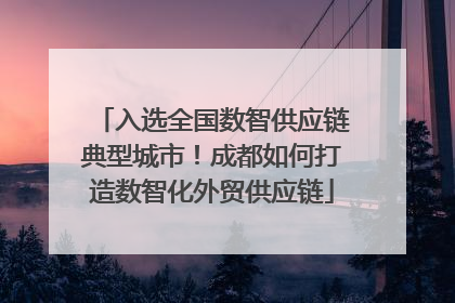 入选全国数智供应链典型城市！成都如何打造数智化外贸供应链