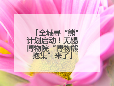 全城寻“熊”计划启动！无锡博物院“博物熊抱集”来了