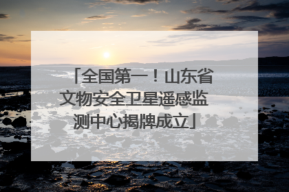 全国第一！山东省文物安全卫星遥感监测中心揭牌成立