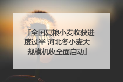 全国夏粮小麦收获进度过半 河北冬小麦大规模机收全面启动