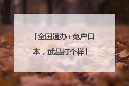 全国通办+免户口本，武昌打个样