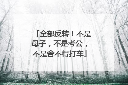 全部反转！不是母子，不是考公，不是舍不得打车