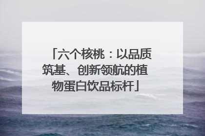 六个核桃：以品质筑基、创新领航的植物蛋白饮品标杆