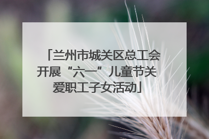 兰州市城关区总工会开展“六一”儿童节关爱职工子女活动