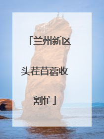 兰州新区头茬苜蓿收割忙