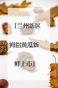 兰州新区拇指黄瓜新鲜上市