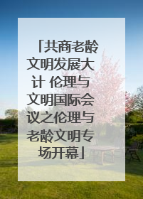 共商老龄文明发展大计 伦理与文明国际会议之伦理与老龄文明专场开幕