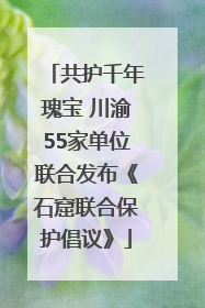 共护千年瑰宝 川渝55家单位联合发布《石窟联合保护倡议》