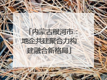 内蒙古根河市：地企共建聚合力构建融合新格局