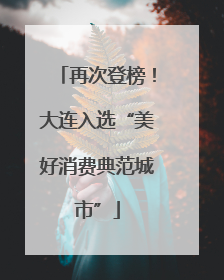 再次登榜！大连入选“美好消费典范城市”