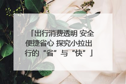 出行消费透明 安全便捷省心 探究小拉出行的“省”与“快”