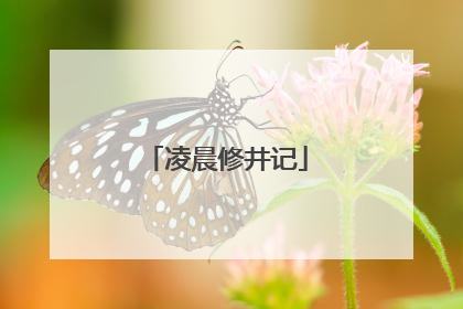 凌晨修井记