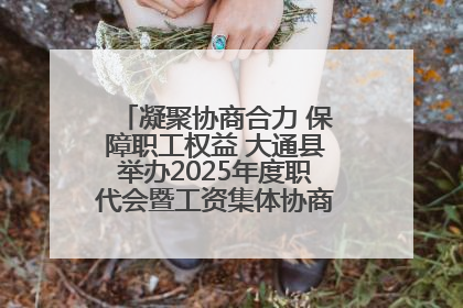 凝聚协商合力 保障职工权益 大通县举办2025年度职代会暨工资集体协商现场观摩交流活动