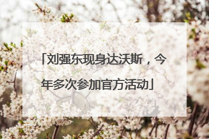 刘强东现身达沃斯，今年多次参加官方活动