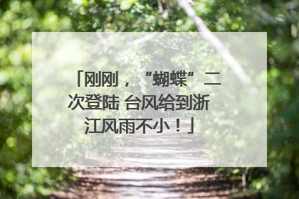 刚刚，“蝴蝶”二次登陆 台风给到浙江风雨不小！