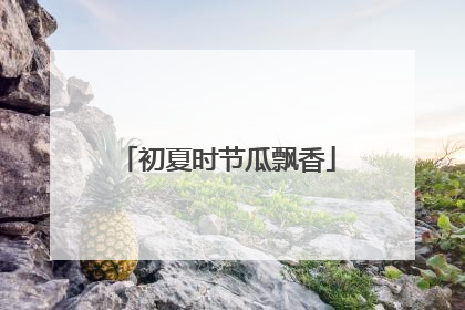 初夏时节瓜飘香