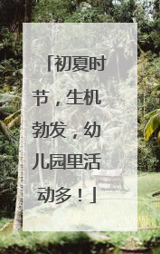 初夏时节，生机勃发，幼儿园里活动多！