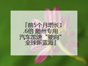 前5个月增长1.6倍 随州专用汽车加速“驶向”全球新蓝海