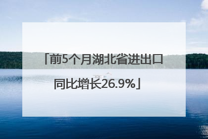 前5个月湖北省进出口同比增长26.9%