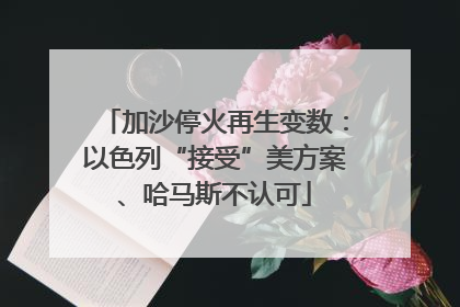 加沙停火再生变数：以色列“接受”美方案、哈马斯不认可