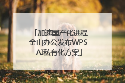 加速国产化进程 金山办公发布WPS AI私有化方案