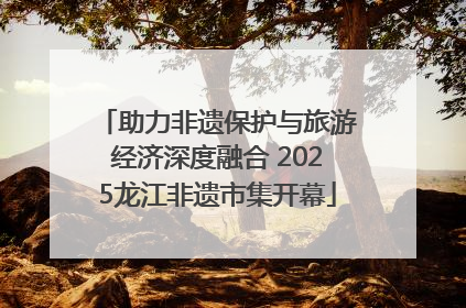 助力非遗保护与旅游经济深度融合 2025龙江非遗市集开幕
