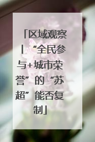区域观察丨“全民参与+城市荣誉”的“苏超”能否复制
