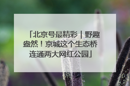 北京号最精彩｜野趣盎然！京城这个生态桥连通两大网红公园