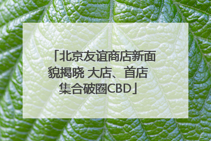北京友谊商店新面貌揭晓 大店、首店集合破圈CBD