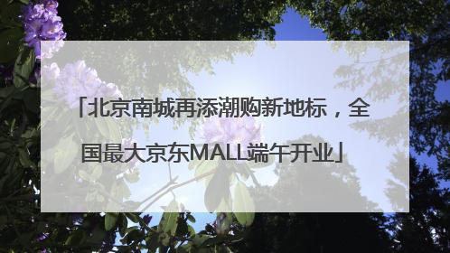 北京南城再添潮购新地标，全国最大京东MALL端午开业