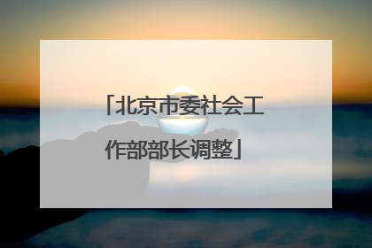 北京市委社会工作部部长调整