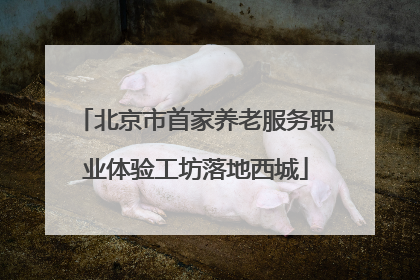 北京市首家养老服务职业体验工坊落地西城
